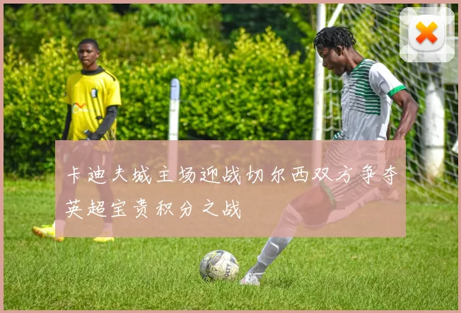 卡迪夫城主场迎战切尔西双方争夺英超宝贵积分之战