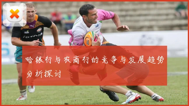 哈银行与农商行的竞争与发展趋势分析探讨