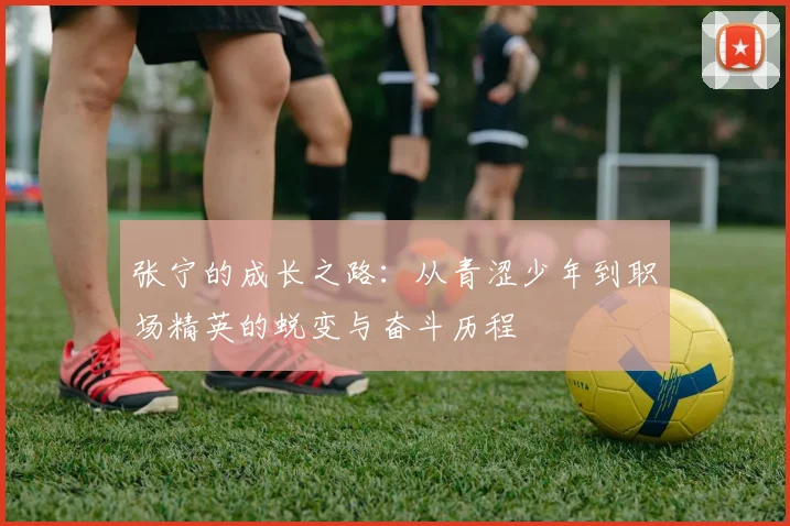 张宁的成长之路：从青涩少年到职场精英的蜕变与奋斗历程