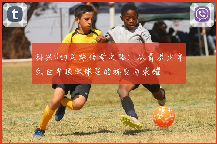 孙兴O的足球传奇之路：从青涩少年到世界顶级球星的蜕变与荣耀